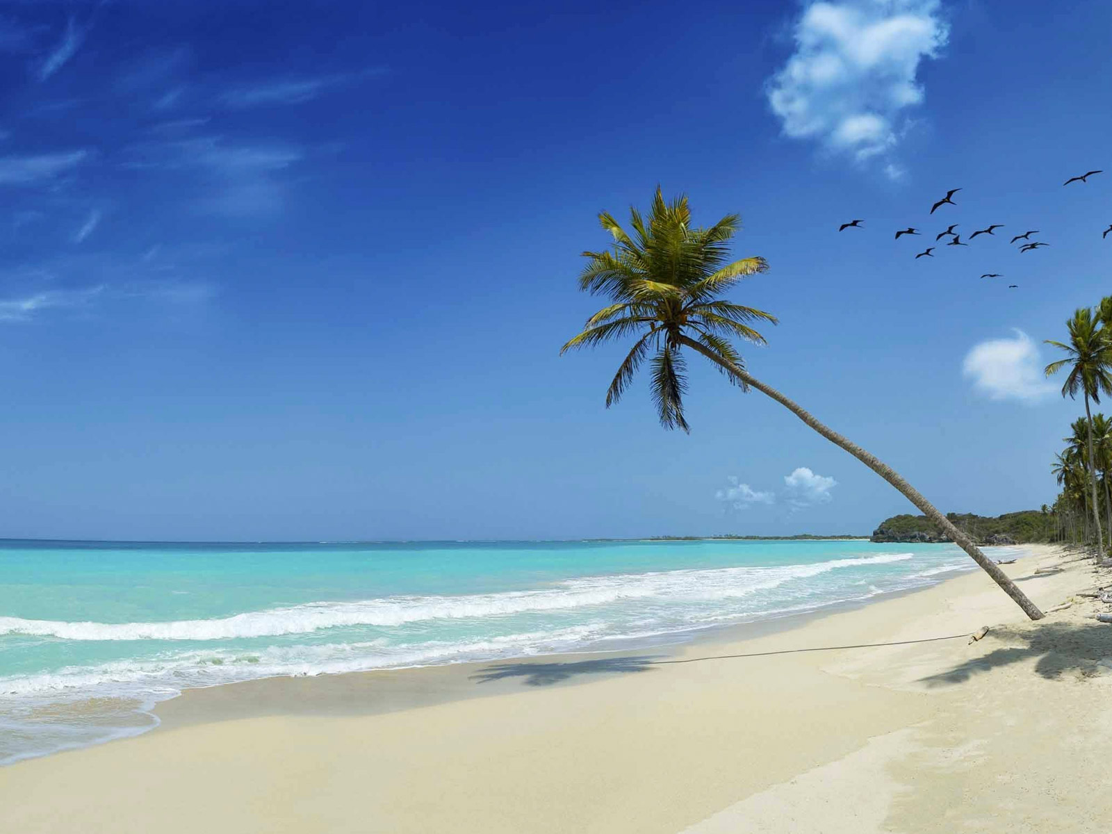 Soaking Up the Sun on 7 Mile Beach, The Cayman Islands, The Cayman ...